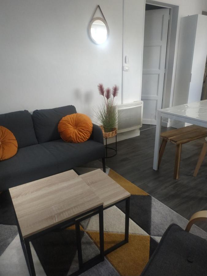 Tosca - Appartement - Parking gratuit Orleans Bagian luar foto